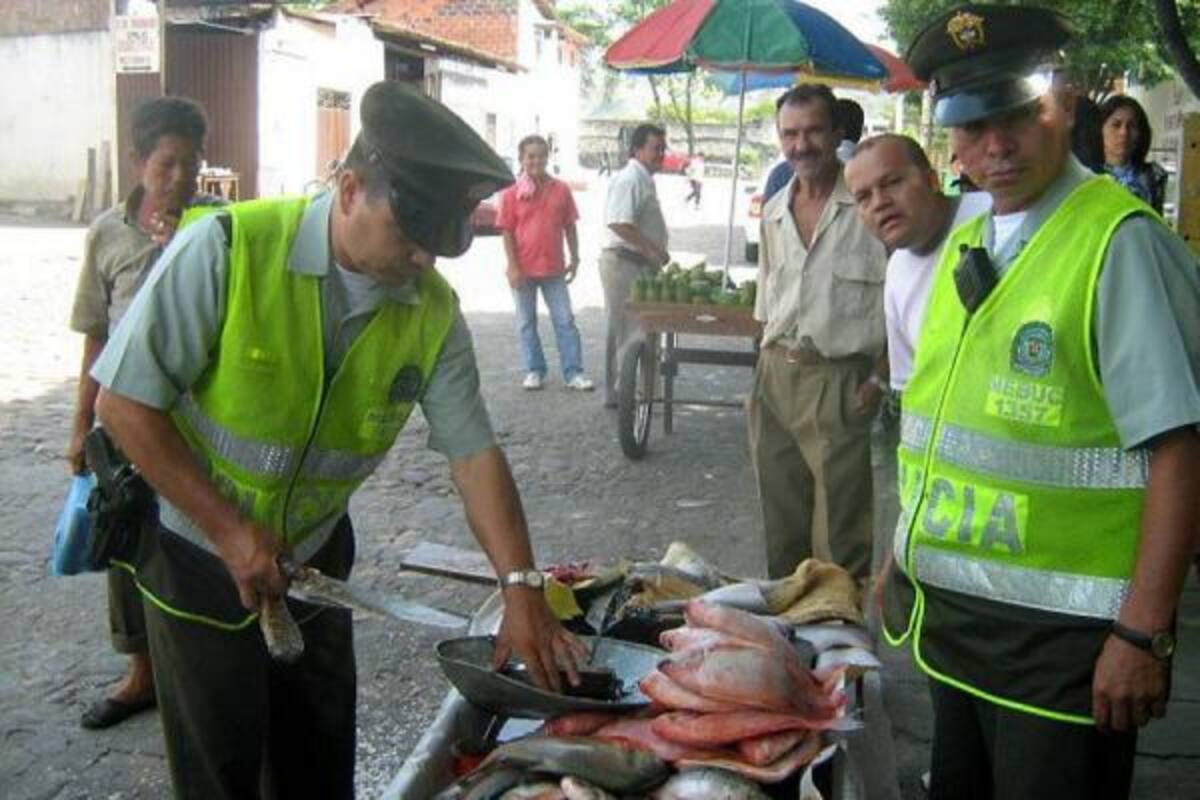 Las autoridades municipales adelantan operativos para controlar la comercialización de pescado.(Foto: Archivo/VANGUARDIA LIBERAL )