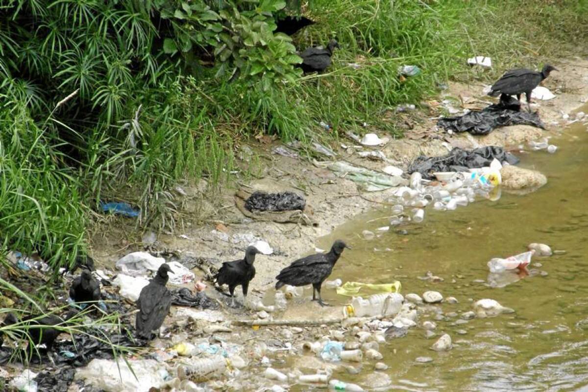Los habitantes solicitaron a las autoridades que se haga una limpieza y se sancione a los infractores que siguen botando basura a Río de Oro. (Foto: Archivo/VANGUARDIA LIBERAL )