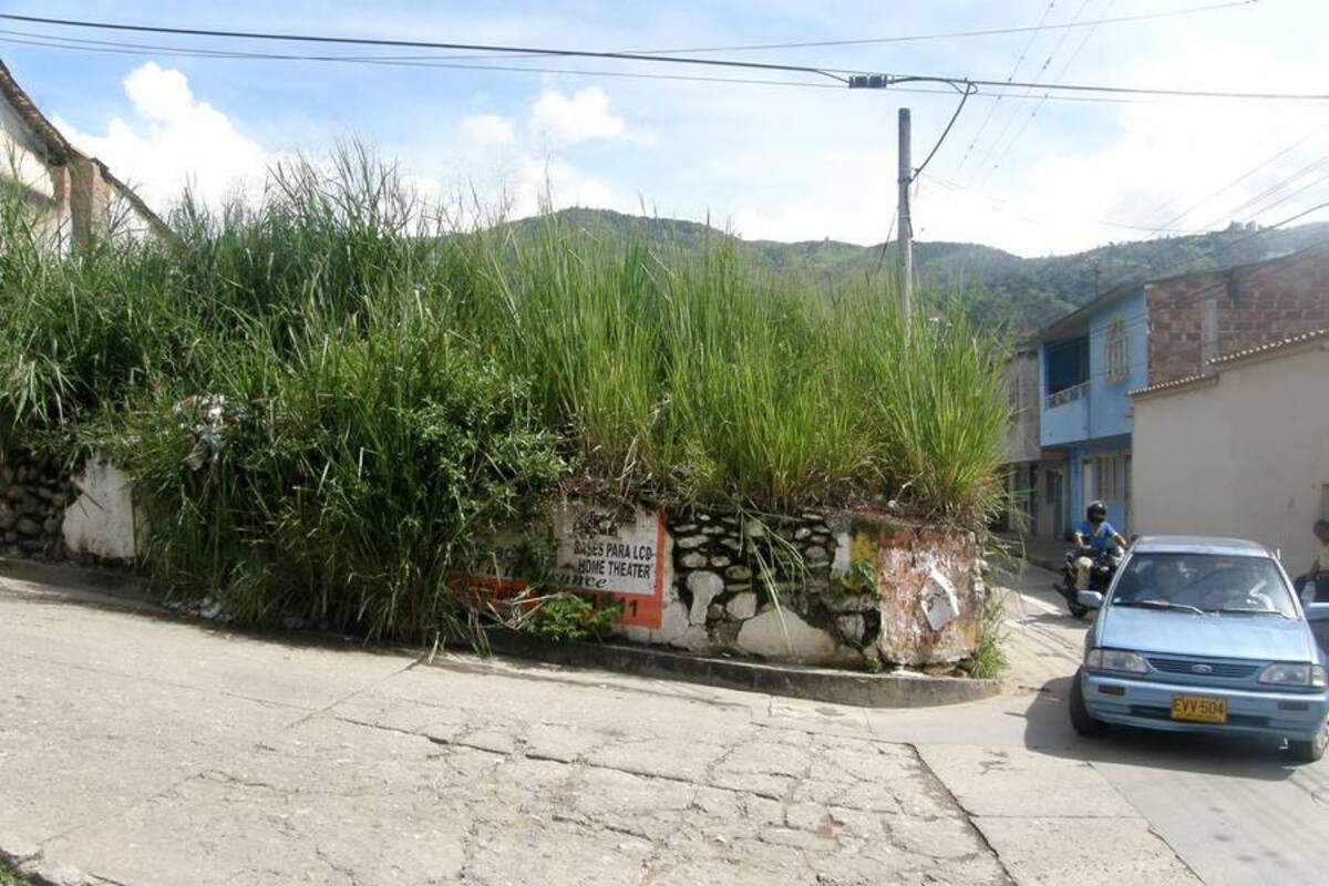Los residentes de la carrera 9 exigen al Gobierno tomar inmediatas medidas de control a un lote baldío en la zona (Foto: / VANGUARDIA LIBERAL)