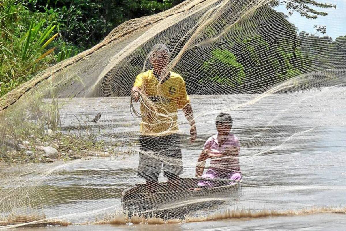 Los pescadores del Magdalena Medio establecieron acuerdos para su sostenimiento económico y protección del medio ambiente. (Foto: Archivo/VANGUARDIA LIBERAL)