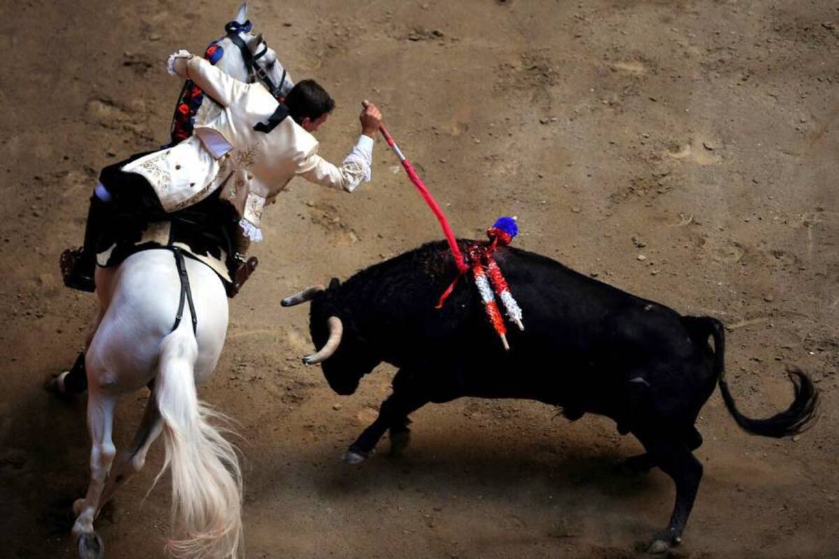 Con toros se cierra hoy la Feria Bonita