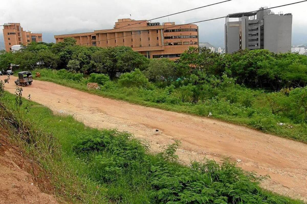 La Transversal El Bosque consiste en una vía con 2.5 kilómetros de longitud, de doble calzada con doble carril en cada sentido. También tendrá un separador central, zonas verdes de aislamiento ambiental, protección peatonal a cada lado y andenes laterales. (Foto: Archivo/VANGUARDIA LIBERAL)