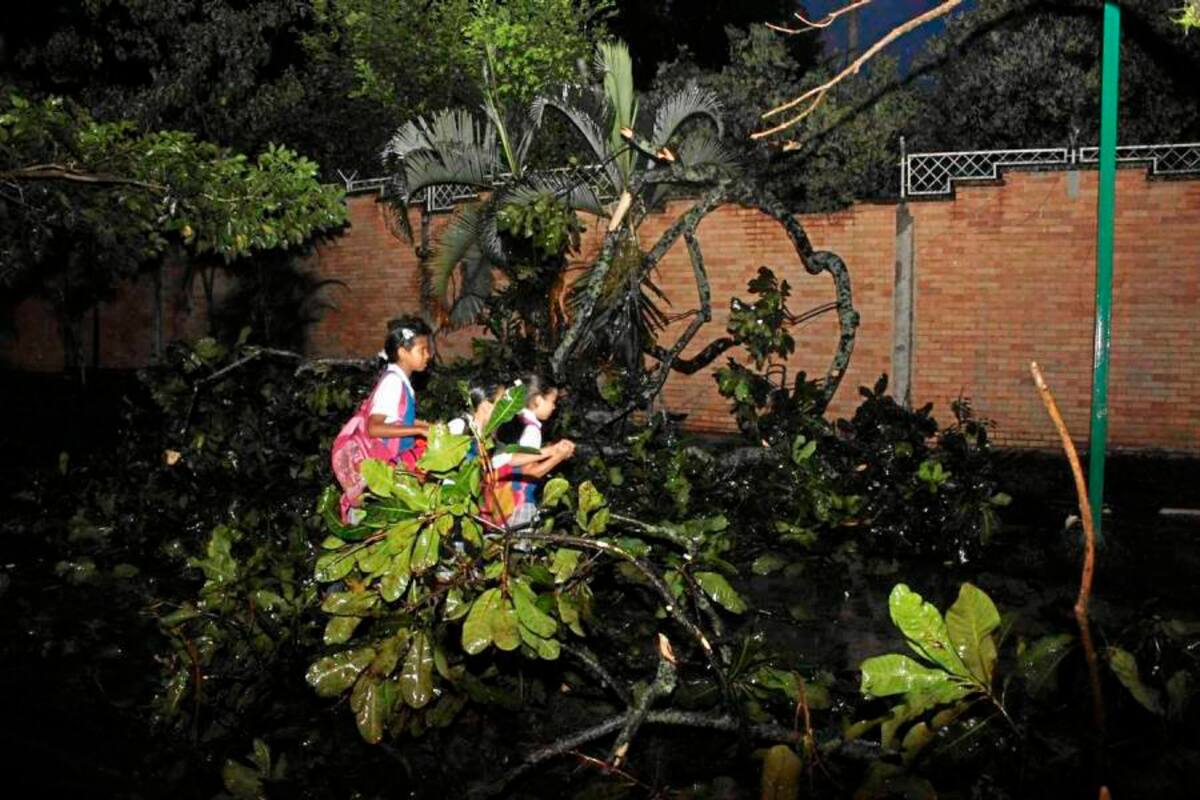 Heridos leves, viviendas evacuadas, árboles caídos y vías afectadas en Floridablanca (Foto: Nelson Díaz/VANGUARDIA LIBERAL)