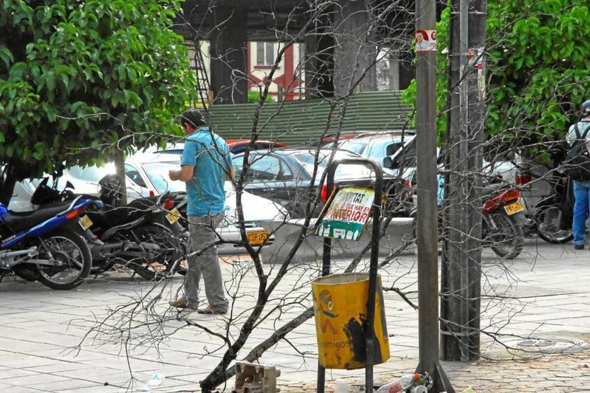 Veeduría ciudadana le solicita al Gobierno y a la Policía Ambiental determinar acciones contra los saqueadores de bolsas de basuras y verificar la recolección de basuras de las canastas recolectoras. (Foto: Suministrada/VANGUARDIA LIBERAL)