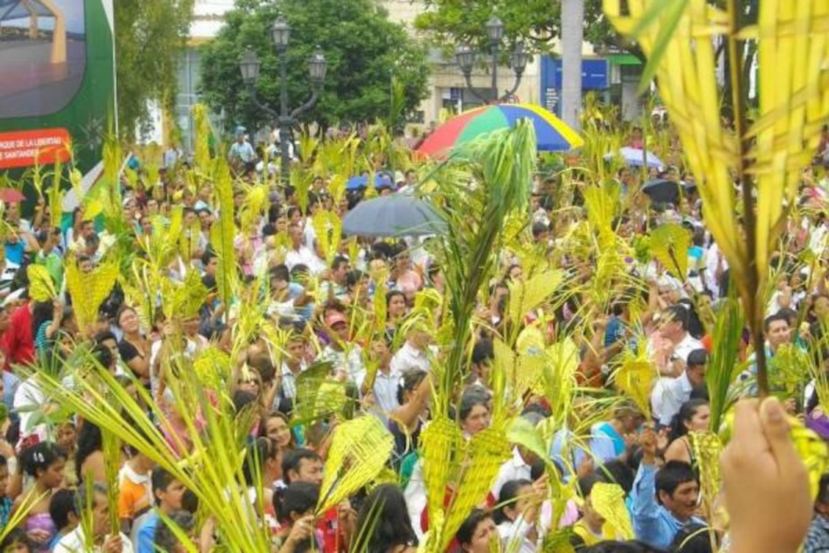 Al menos 1.500 palmas de cera fueron entregadas por los feligreses a las autoridades tras la celebración del Domingo de Ramos, en apoyo a una campaña ambiental promovida por la Cdmb, la Alcaldía y Policía(Foto: Suministrada/ VANGUARDIA LIBERAL )