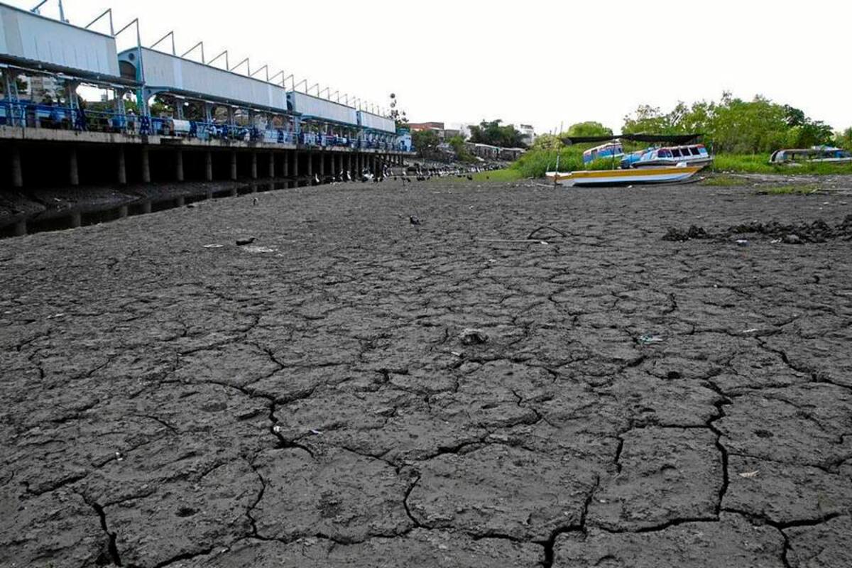 Sedimentación de brazos del río Magdalena como ocurre en inmediaciones del Puerto de Embarcaciones Menores se registran desde hace más de un mes, cuando inició el descenso del río Magdalena tras pasar la temporada invernal. (Foto: Edgar Pernett/VANGUARDIA LIBERAL)