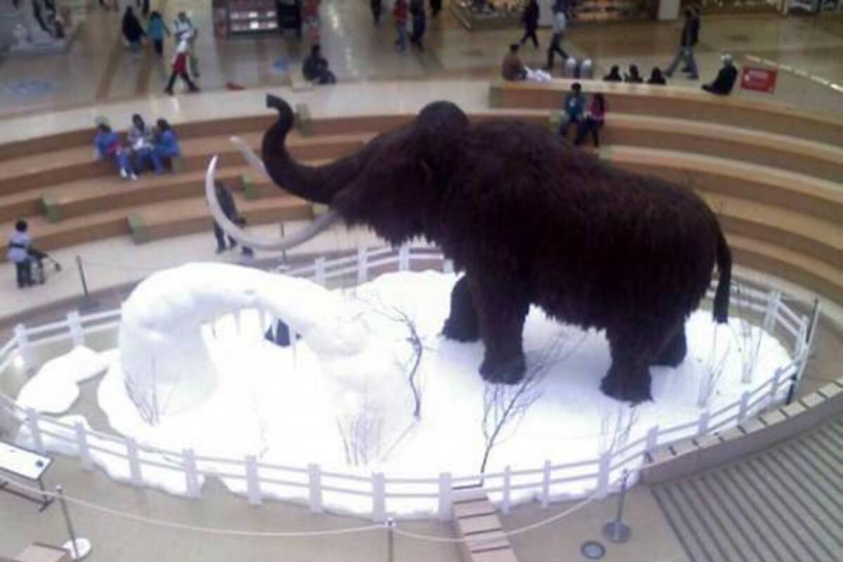 El mamut es la réplica más grande e impactante de todos 'Los Gigantes de la Era del Hielo', pues sólo sus colmillos miden hasta 4 metros. (Foto: Suministrada / VANGUARDIA LIBERAL)