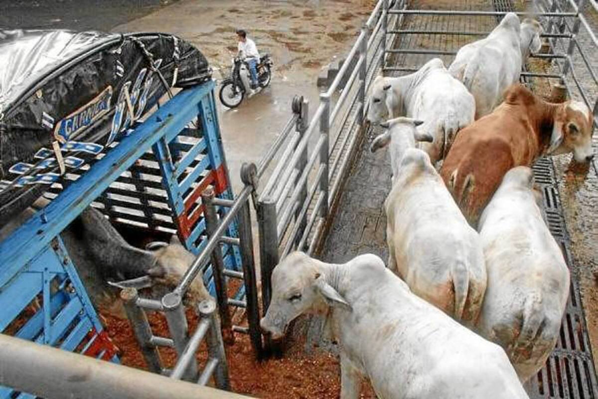 Los alcaldes de la provincia no han definido todavía una nueva fecha para reunirse con el fin de elegir en asamblea una nueva junta y empezar a tomar decisiones sobre el futuro de las dos entidades, que dependen entre sí, para beneficiar a los productores del campo. (Foto: Archivo/VANGUARDIA LIBERAL)