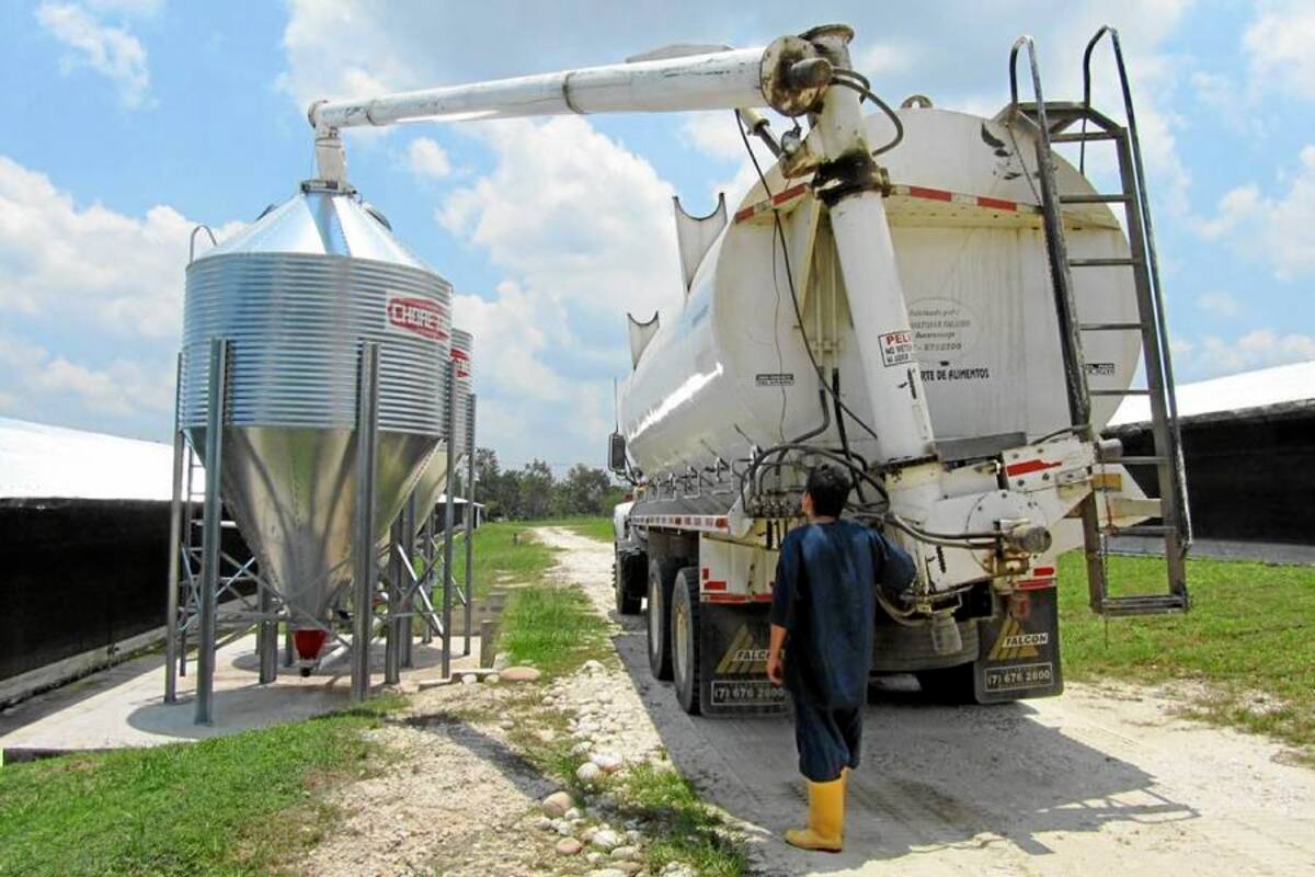 Tecnología de punta buscan avicultores para su relocalización