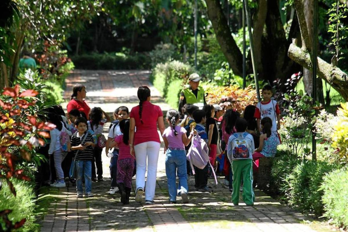 Por los senderos peatonales primarios, secundarios y terciarios con los que cuenta el Jardín Botánico, pueden pasearse infantes, adultos y personas de la tercera edad que a diario visitan el lugar. (Foto: Mauricio Betancourt/VANGUARDIA LIBERAL)