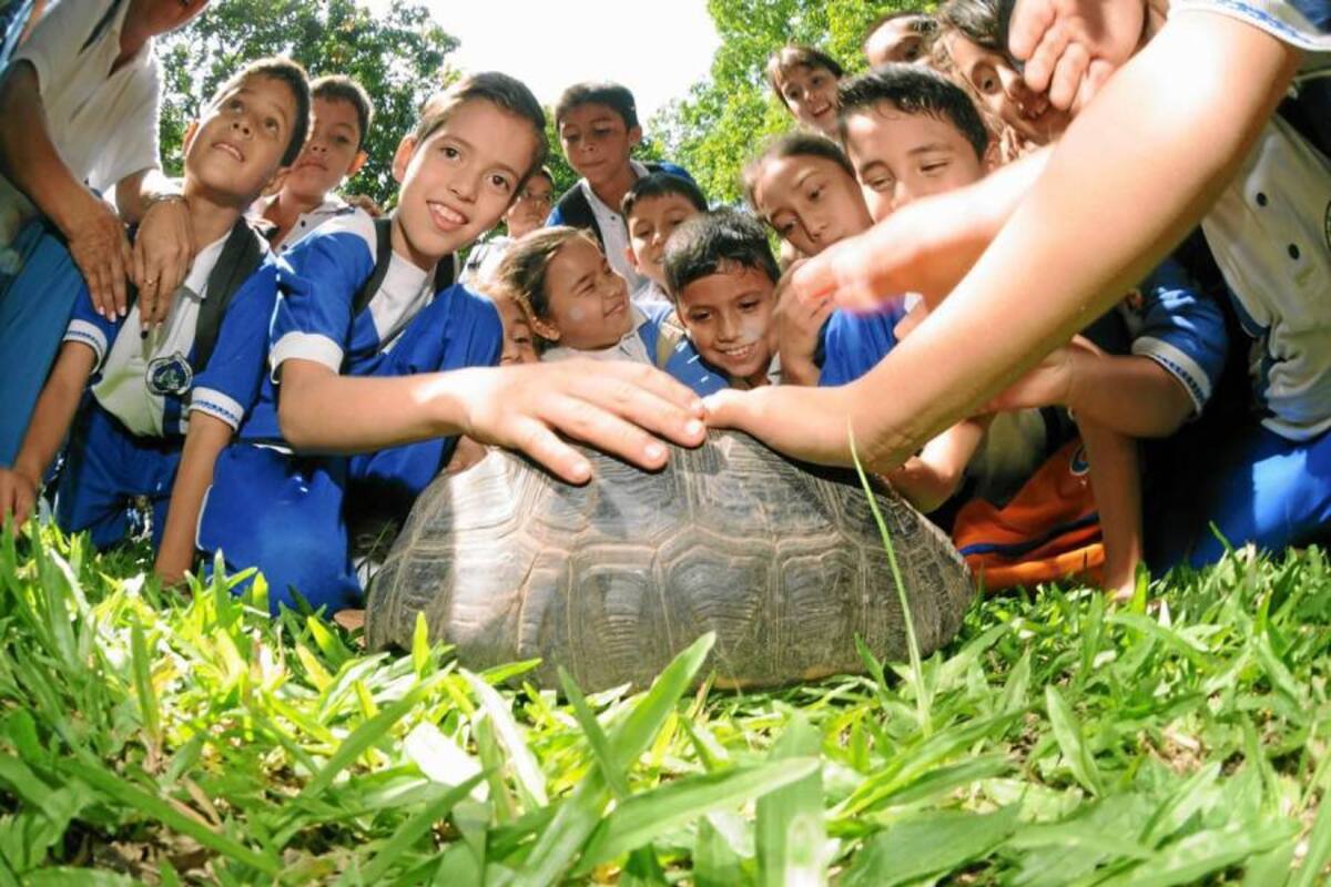 Piedecuesta desde ya se une a la celebración del Día de la Tierra a celebrarse este lunes 22 de abril. (Foto: Archivo/ VANGUARDIA LIBERAL )