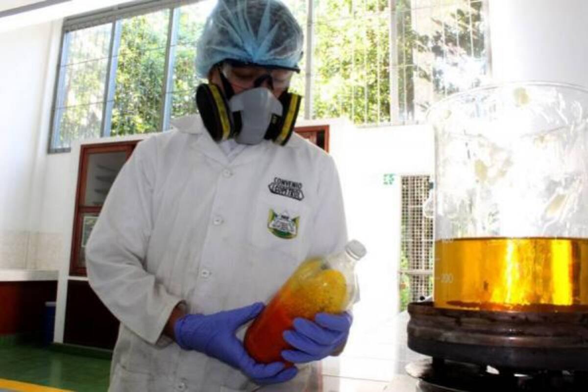 La producción de Etanol y biodiésel en Colombia aún no compite con la producción de alimentos.(Foto: Archivo/VANGUARDIA LIBERAL)