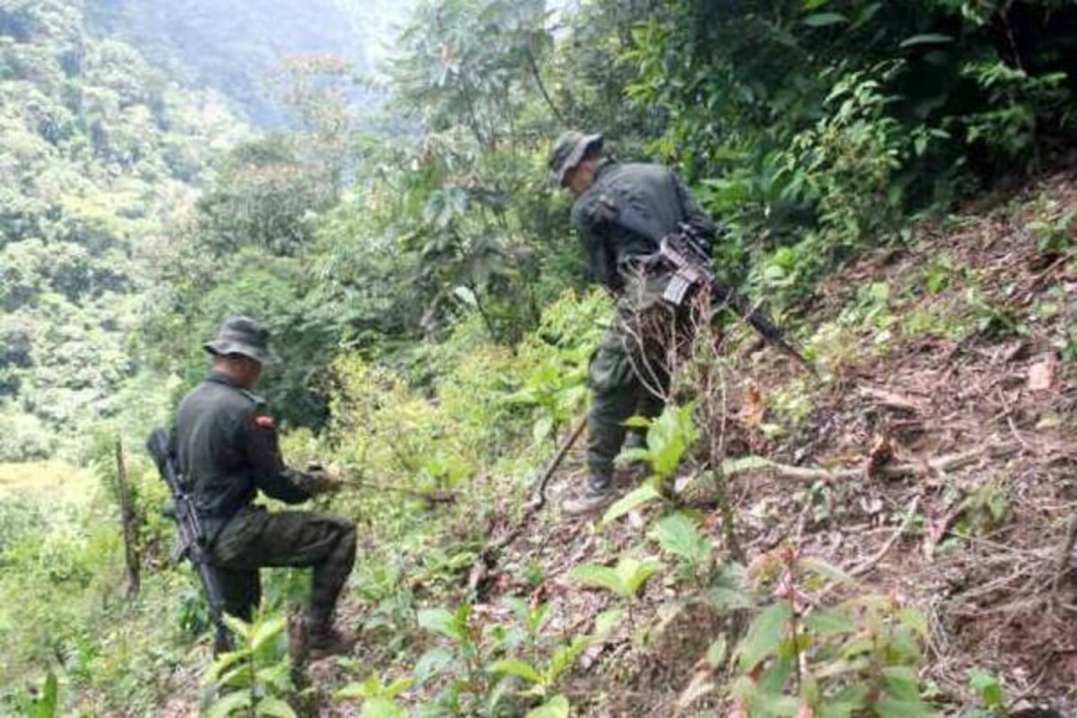 Durante las operaciones de erradicación y destrucción de los laboratorios la Policía no reportó capturas.(Foto: Suministrada/VANGUARDIA LIBERAL )