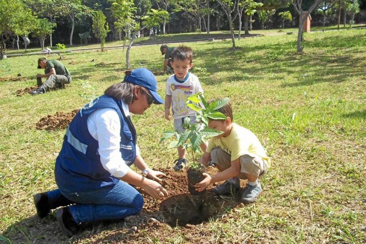 La siembra masiva fue impulsada por la Fundación Piensa Verde, que desde Medellín y Bogotá lideró toda la logística en toda Colombia y en por lo menos 5 países de Latinoamérica. (Foto: Suministrada / VANGUARDIA LIBERAL)