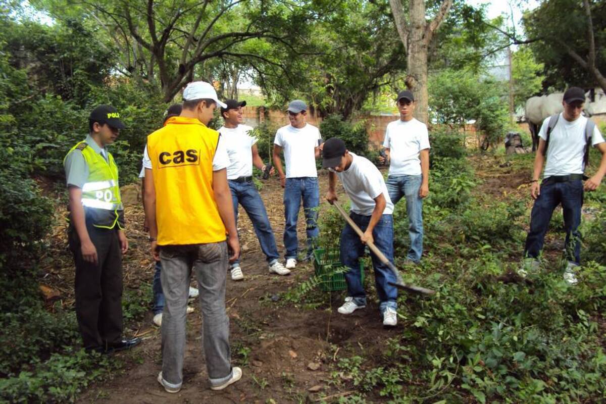 Hay estudios que argumentan que Colombia tiene 20 millones de hectáreas para dedicarlas a la reforestación comercial. (Foto: Archivo/VANGUARDIA LIBERAL)