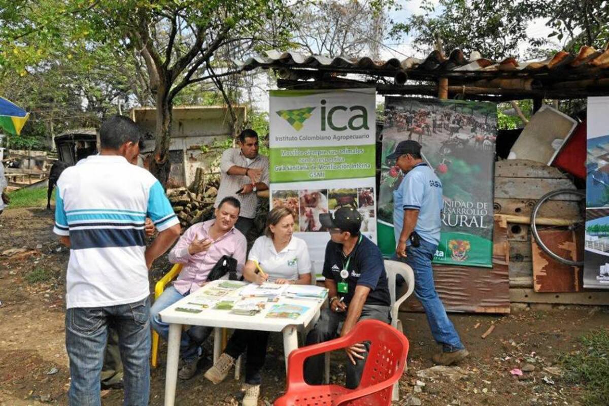 Con un punto de atención el ICA recibe a los ganaderos que deseen inscribir sus predios para recibir las guías de movilidad sanitaria para su ejercicio comercial (Foto: Suministrada/ VANGUARDIA LIBERAL )
