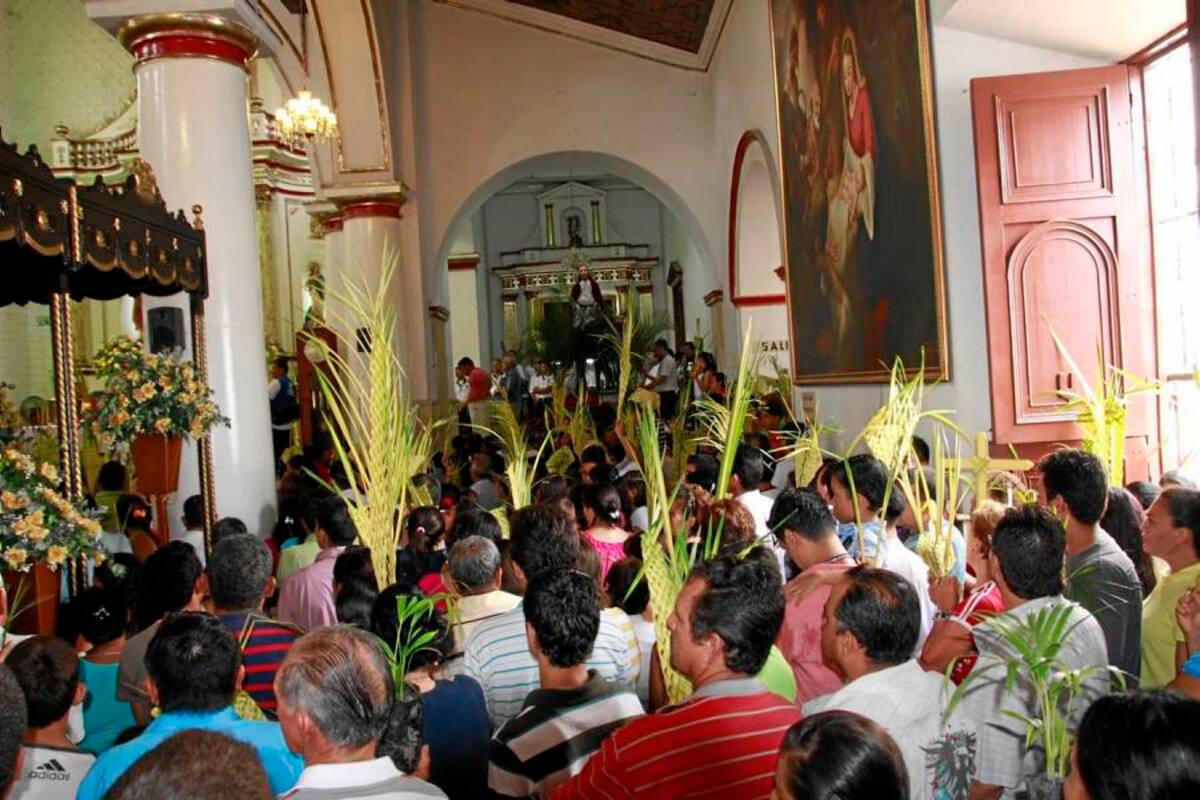 La comunidad religiosa podrá solicitar por escrito la cantidad de plantas que requieren para la celebración del Domingo de Ramo (Foto: Archivo/VANGUARDIA LIBERAL )