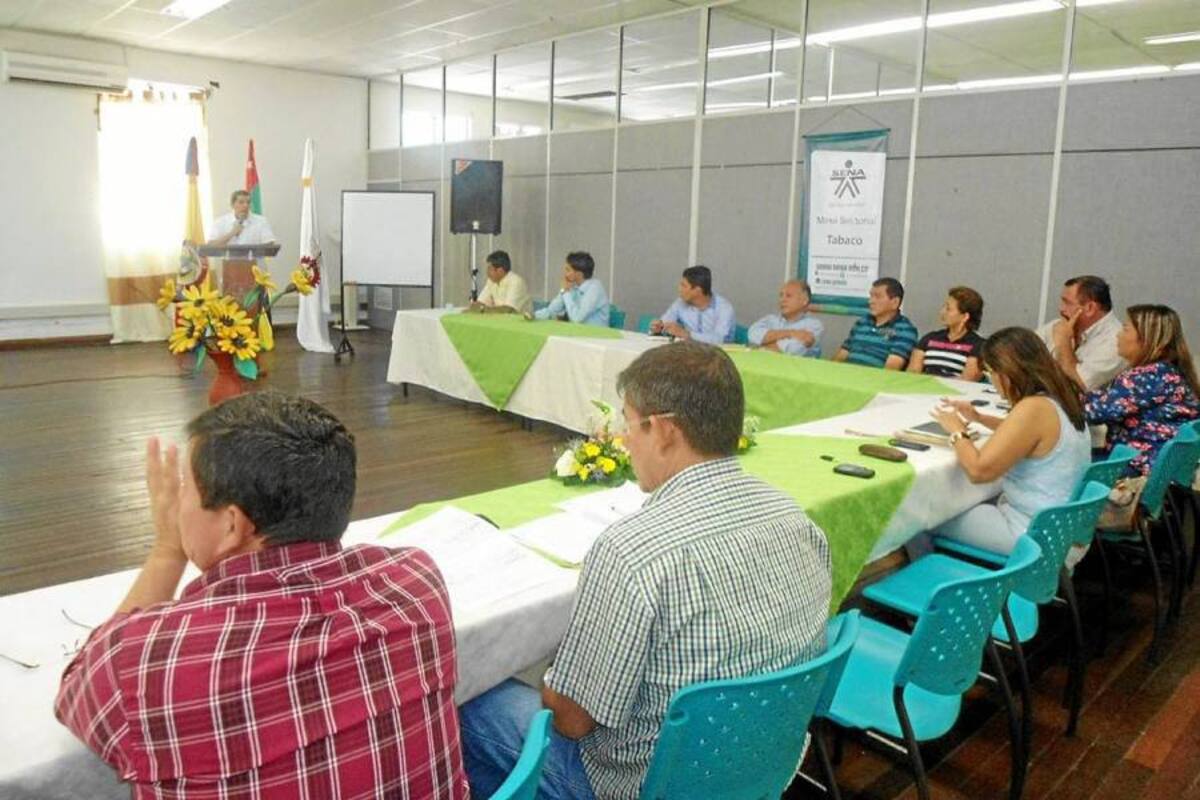 Tabacaleros diseñan competencias laborales para la producción