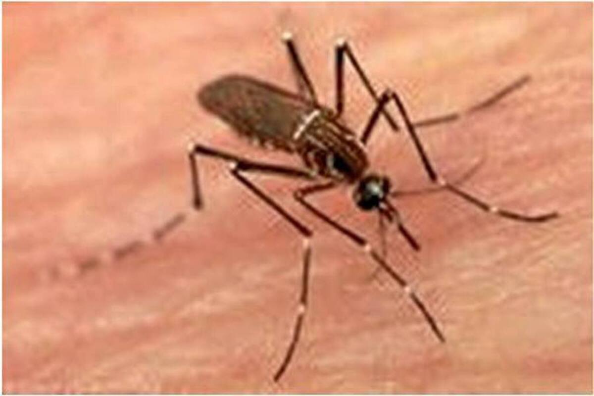 Se intensifican controles por aumento de casos de dengue en el país. (Foto: Archivo/VANGUARDIA LIBERAL)