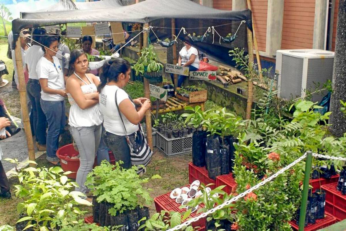 Al menos 300 jóvenes del sector rural, un promedio de 35 por curso, se están capacitando para ser futuros empresarios del agro, de la actividad pecuaria y de alimentos. (Foto: Archivo / VANGUARDIA LIBERAL )