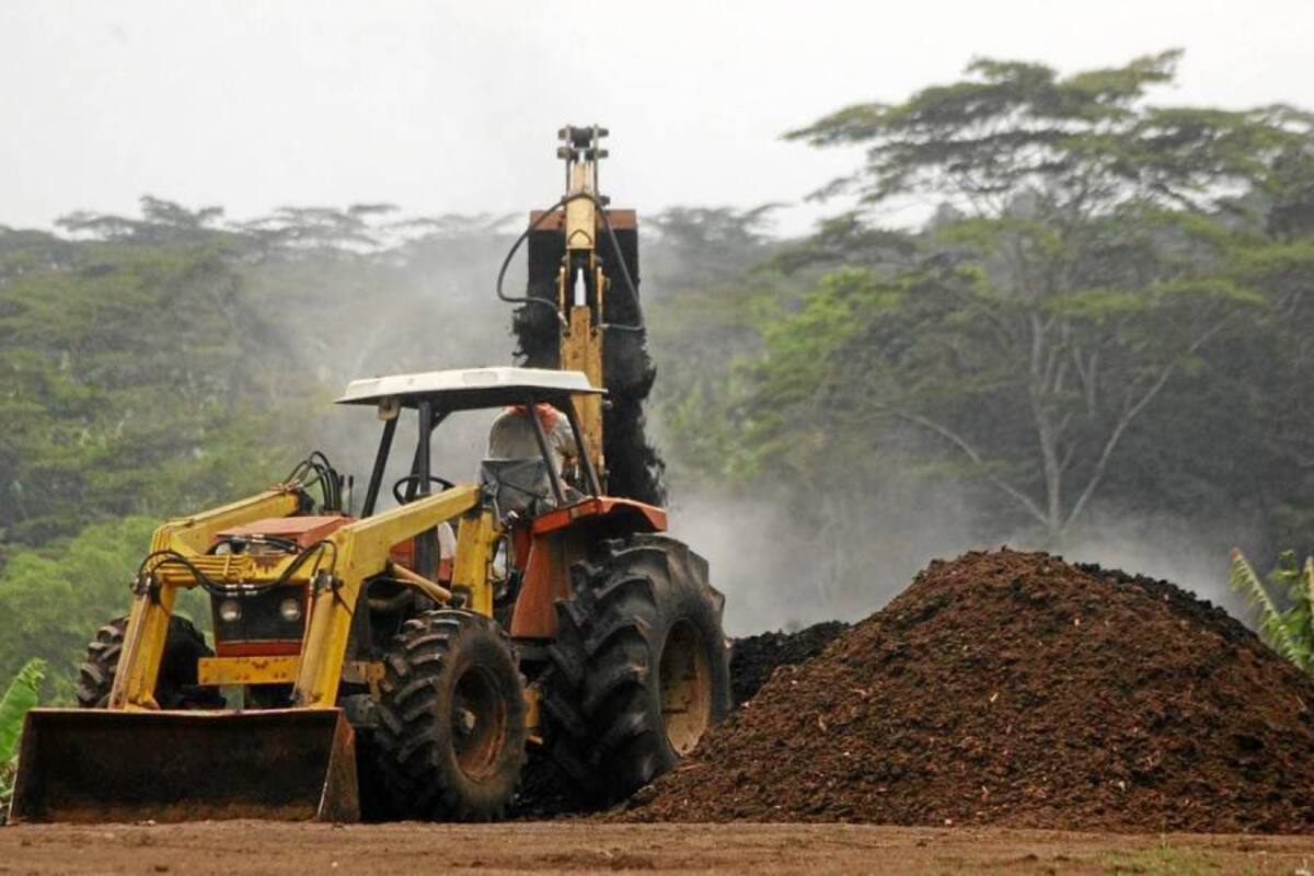 En los últimos cuatro años se habrían perdido 16 millones de sacos de café. (Foto: Archivo/VANGUARDIA LIBERAL)