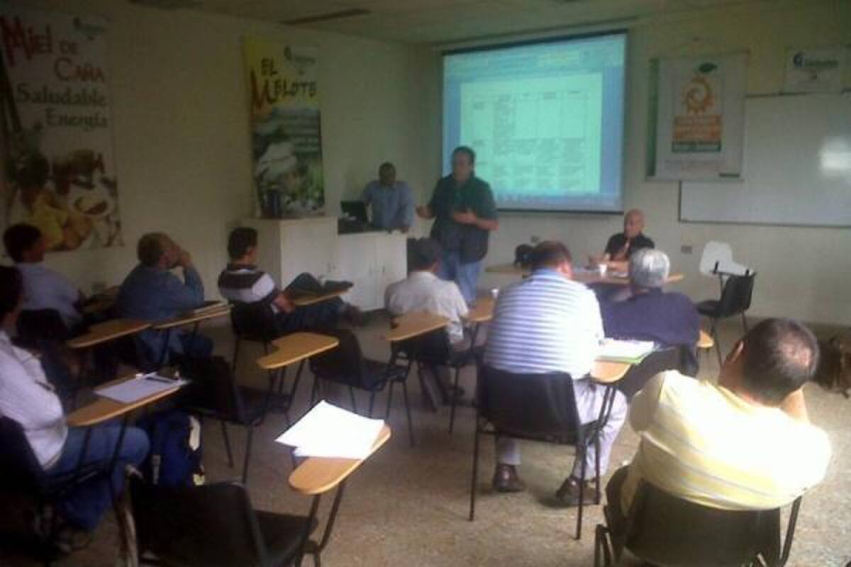 En reunión del Consejo de Competitividad fueron aprobados cuatro proyectos que tienen que ver con la cadena productiva de la guayaba.(Foto: Suministrada/VANGUARDIA LIBERAL)
