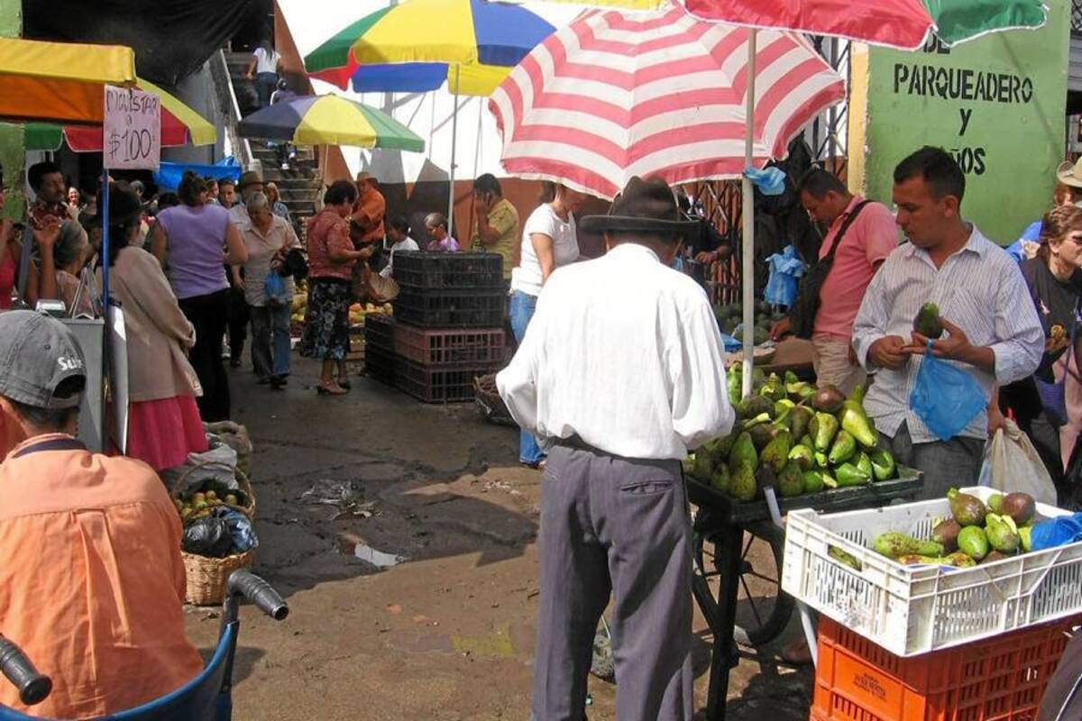 Veneno para insectos en la Plaza de mercado no funcionó