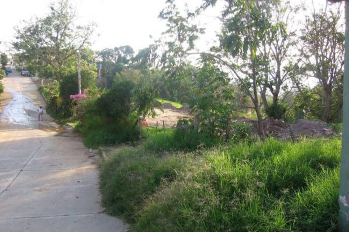 Este terreno está localizado en la carrera 20 entre calles 12 y 13, del barrio La Libertad. (Foto: Nancy Gómez /VANGUARDIA LIBERAL)