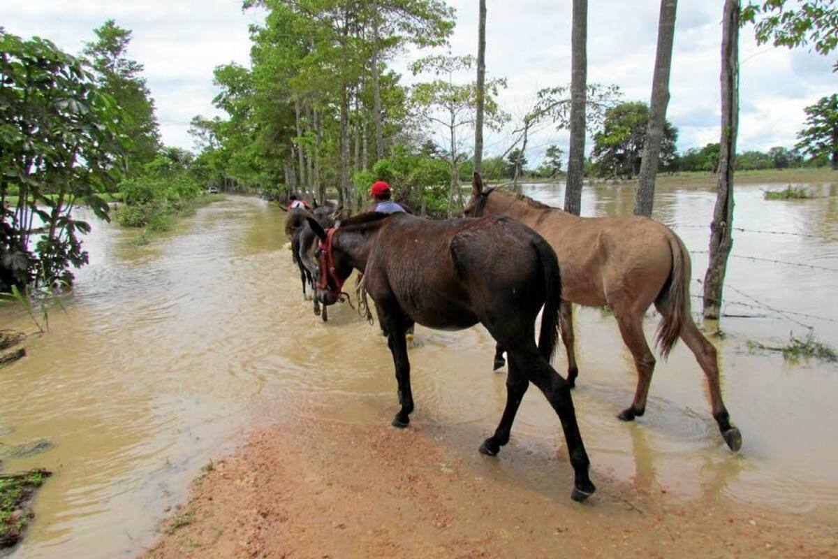 Reforzamiento del dique del Distrito del río Lebrija será ítem principal