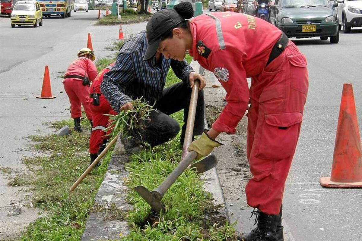 Los trabajos cuentan con el apoyo de personal de Bomberos y miembros del Ejército Nacional. (Foto: Javier Gutiérrez/VANGUARDIA LIBERAL)