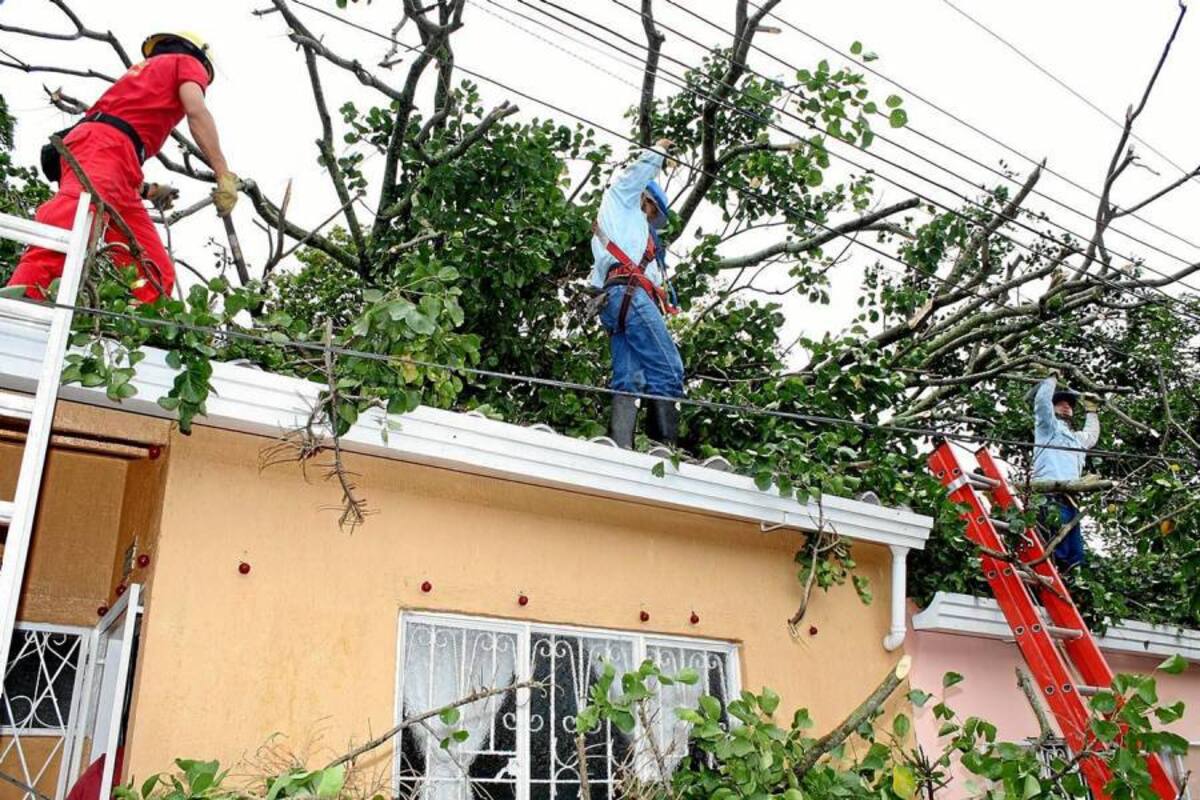 Organismos de socorro trabajan desde el miércoles en la remoción de las ramas de los árboles que cayeron sobre más viviendas de barrios de Piedecuesta como Tejaditos. (Foto: Mauricio Betancourt/VANGUARDIA LIBERAL)