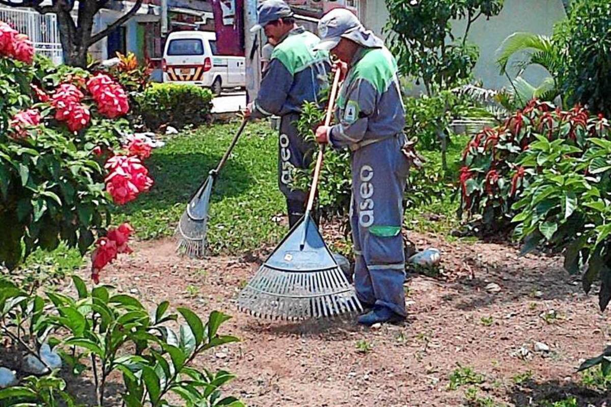 El Municipio celebró ayer con acciones de ornato y reforestación el Día internacional de la Tierra (Foto: Suministrada/ VANGUARDIA LIBERAL )