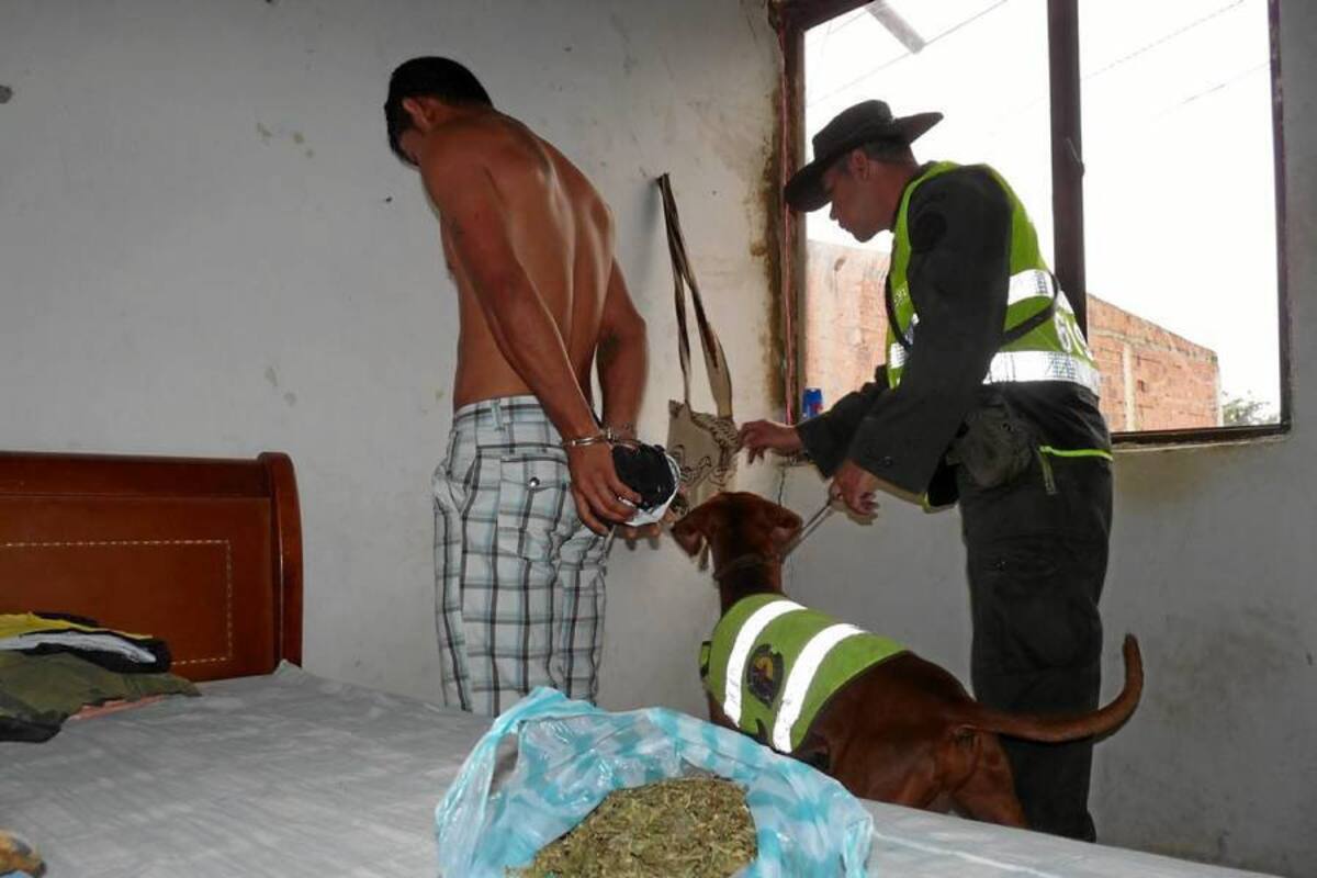 Marihuana, bazuco, y otras base de coca fue encontrado en medio de la operación Ónix, donde fueron capturadas 24 personas en Barbosa. (Foto: Suministrada /VANGUARDIA LIBERAL)