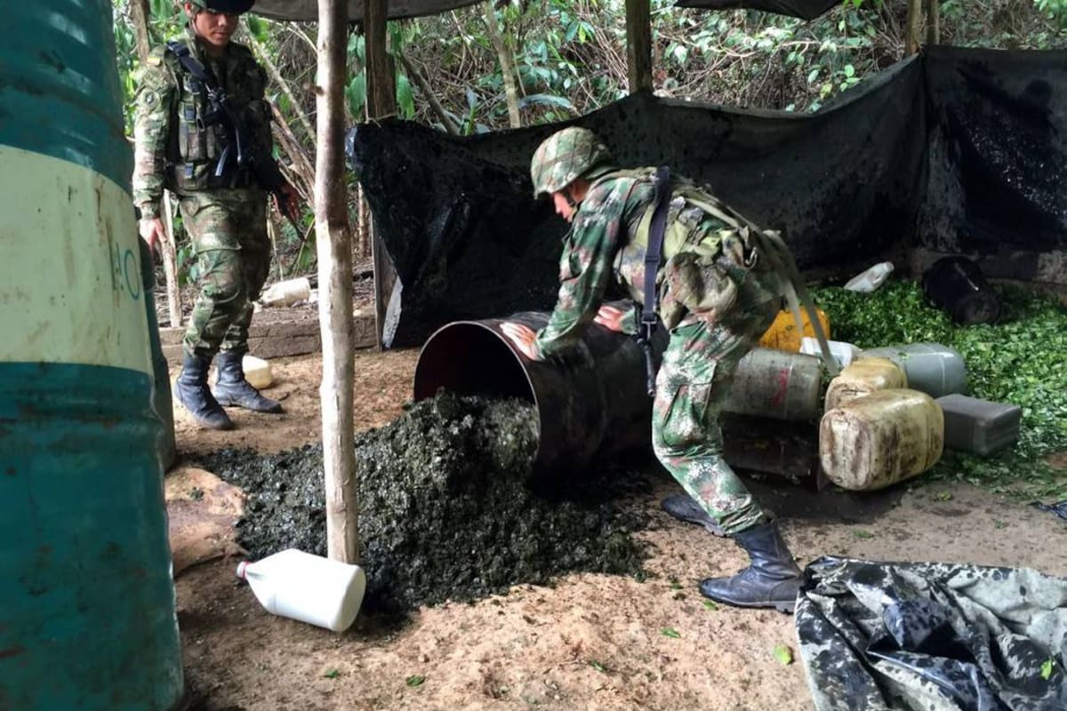 Varios laboratorios para procesar coca han sido destruidos este año en la región. (Foto: Suminstrada/VANGUARDIA LIBERAL)