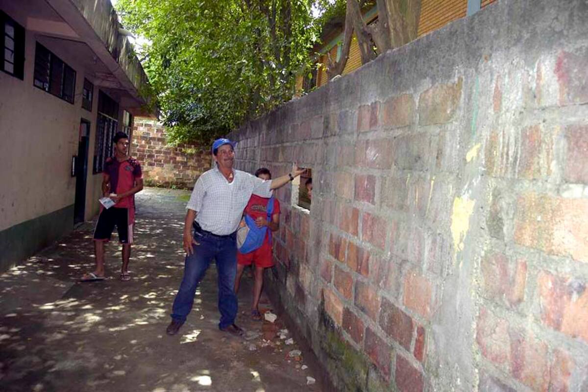 Este muro estaría a punto de colapsar por el debilitamiento que ha causado a la estructura el peso de varios árboles. (Foto: Edgar Pernett/VANGUARDIA LIBERA)