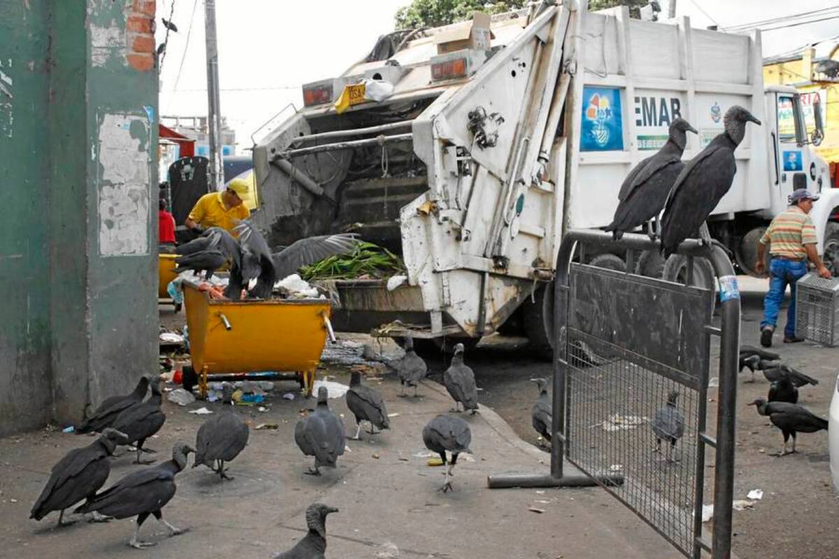 “En las plazas hay un ‘cartel’ para comercializar los puestos”
