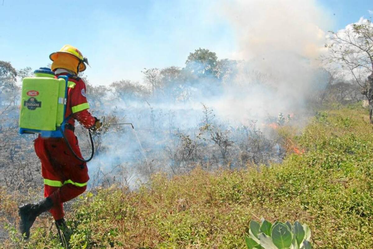 Unidades del cuerpo de bomberos oficiales de Piedecuesta lograron controlar un incendio forestal en el barrio Tejaditos (Foto: Archivo/VANGUARDIA LIBERAL )