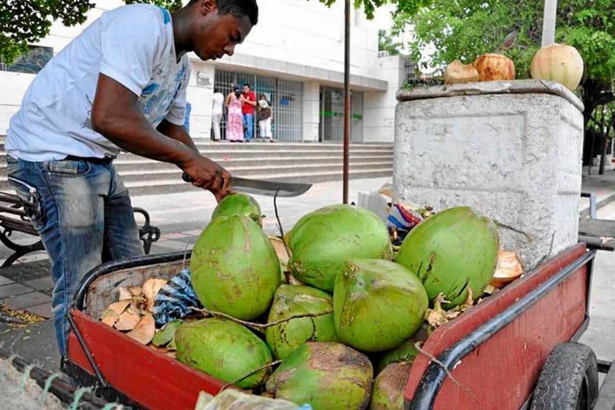 Coco importado se tomó el mercado nacional
