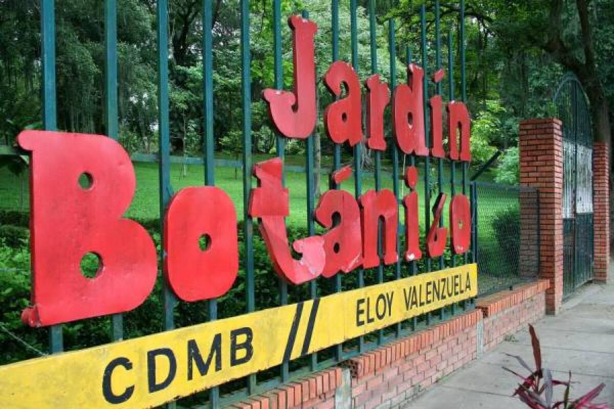 Del 30 de septiembre al 3 de octubre se realizará la III Exposición Nacional de Orquídeas que tendrá lugar en el jardín botánico Eloy Valenzuela.(Foto: Archivo/VANGUARDIA LIBERAL)