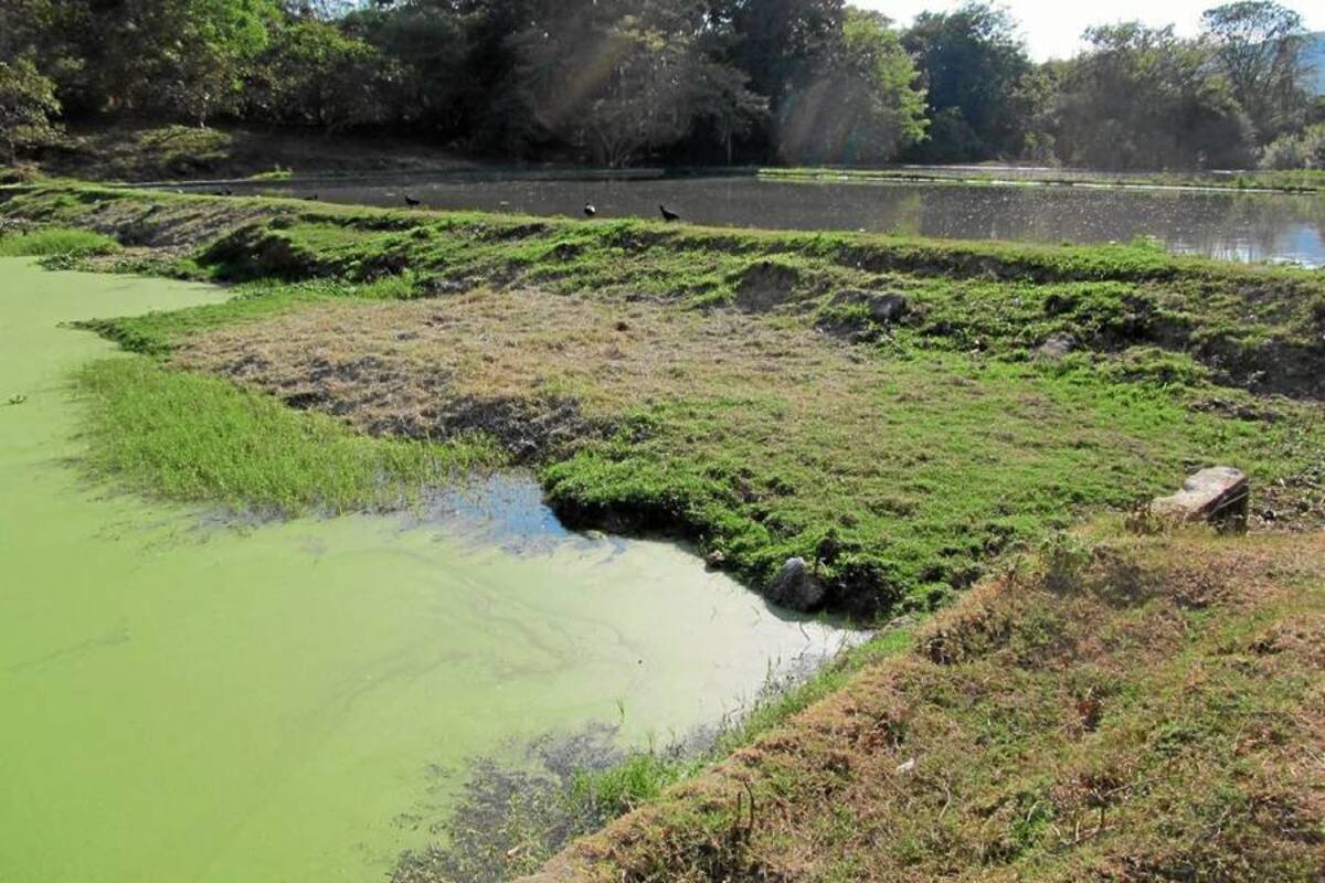 Iniciaron trabajos de limpieza de las piscinas de oxidación (Foto: Suministrada /VANGUARDIA LIBERAL)