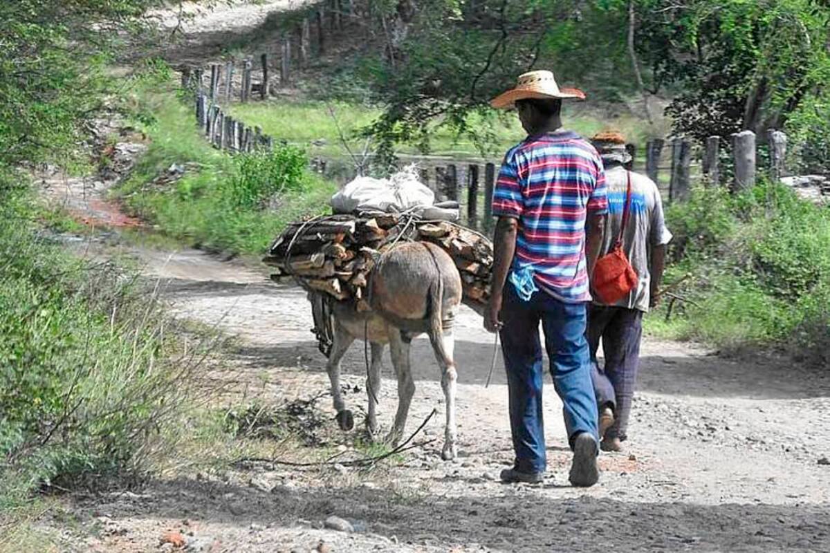 El estado de salud del campesino es estable, pero permanece en observación. (Foto: Archivo/VANGUARDIA LIBERAL)