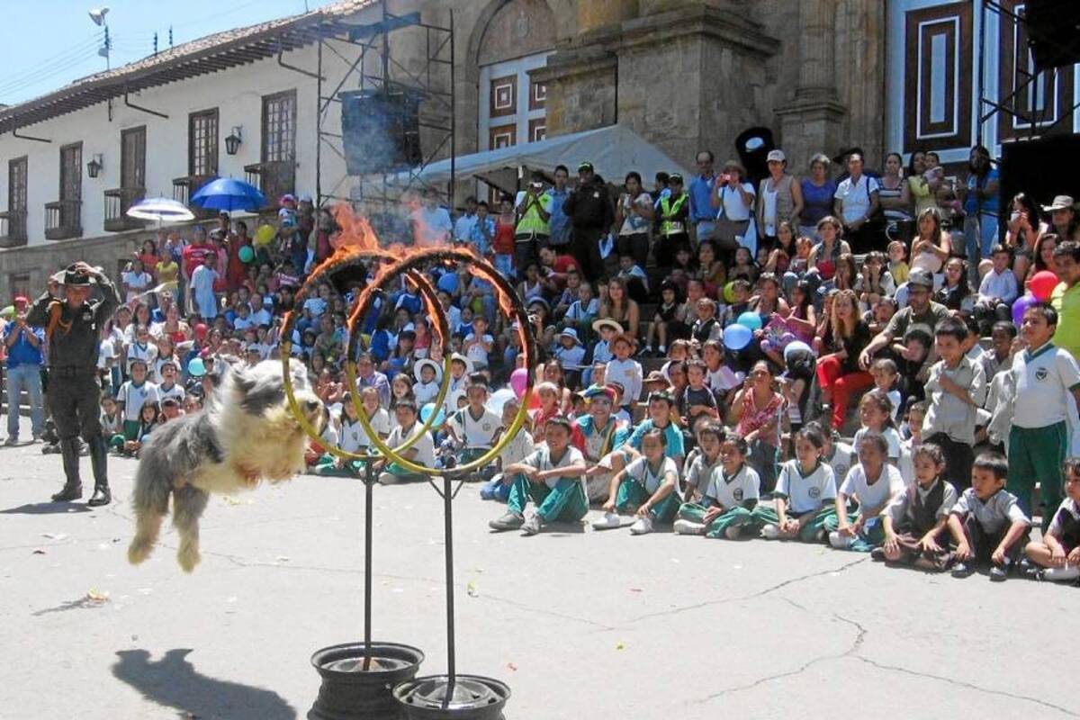El show canino de la Policía Nacional, fue uno de los espectáculos que más aplausos se llevó por parte de cientos de menores que acudieron al parque de la Independencia a celebrar el día de la niñez, evento organizado por la Administración municipal y que contó con el apoyo de la Policía Comunitaria del Socorro. (Foto: Luis Fernando Martínez Vargas/VANGUARDIA LIBERAL)