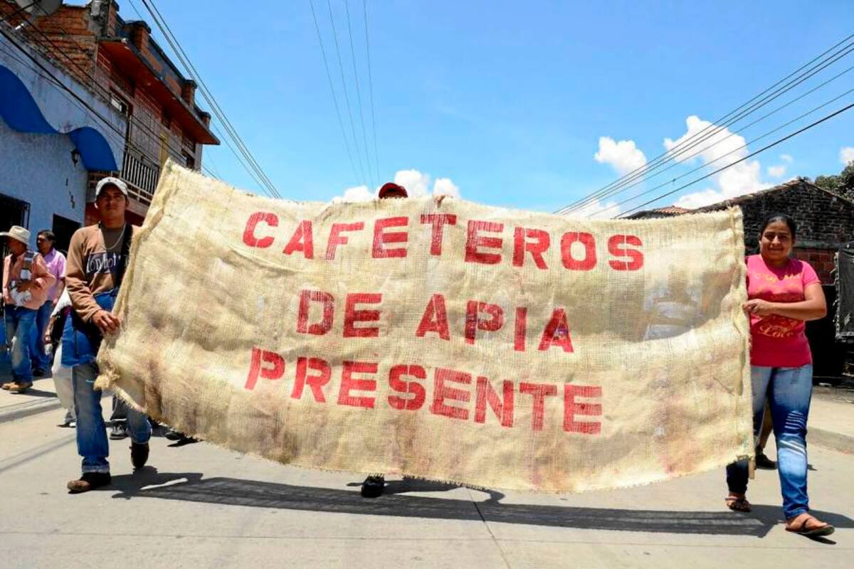 El café colombiano, que durante décadas ha sido uno de los principales productos de exportación, a traviesa una difícil coyuntura económica. (Foto: Archivo/VANGUARDIA LIBERAL)