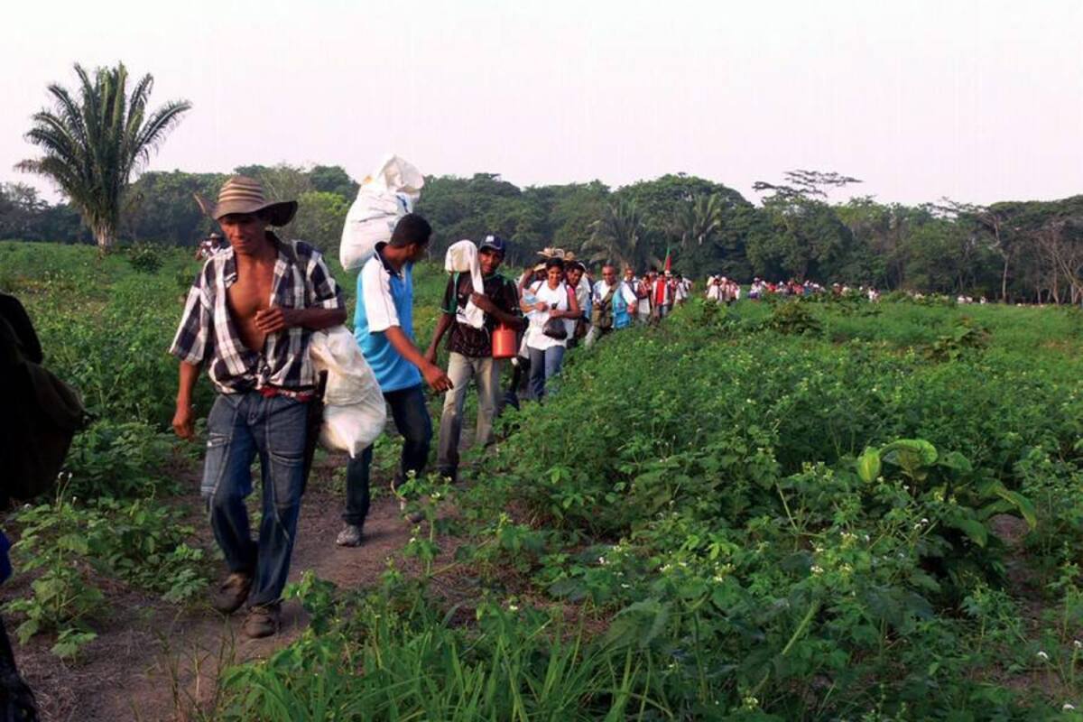 El PNUD entregará este informe, titulado “Colombia rural: razones para la esperanza”, el próximo miércoles al presidente Juan Manuel Santos. (Foto: Archivo / VANGUARDIA liberal )