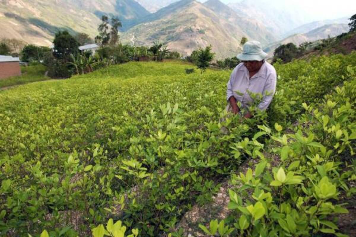 En el municipio de Betulia se restituyeron los predios a una víctima del despojo en lo que fue el primer caso exitoso de restitución en el departamento.(Foto: Archivo/VANGUARDIA LIBERAL)
