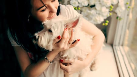 Animales de apoyo emocional: claves para una relación sana y responsable