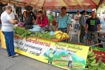 Mercado campesino reunirá a 80 productores rurales este sábado en San Gil