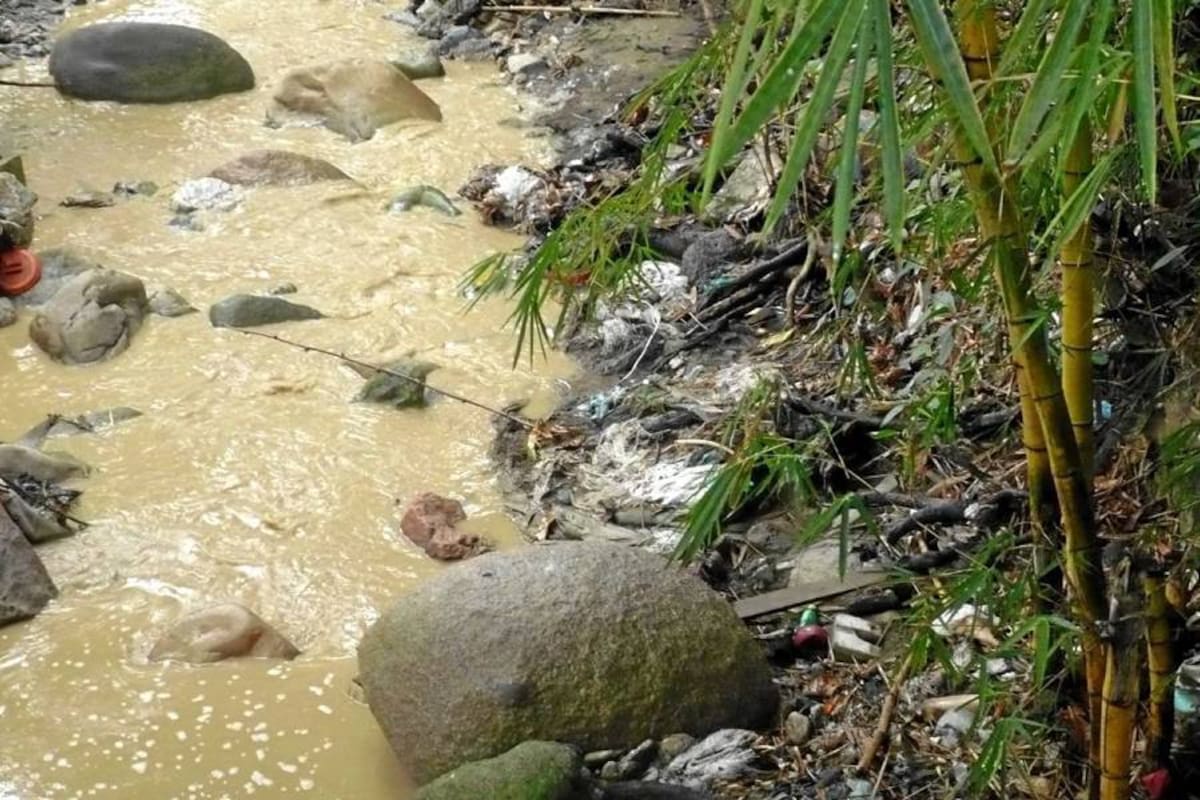 La quebrada que pasa cerca al barrio Campo Verde se ha convertido en basurero comunitario. (Foto: Liliana Carvajal/VANGUARDIA LIBERAL )