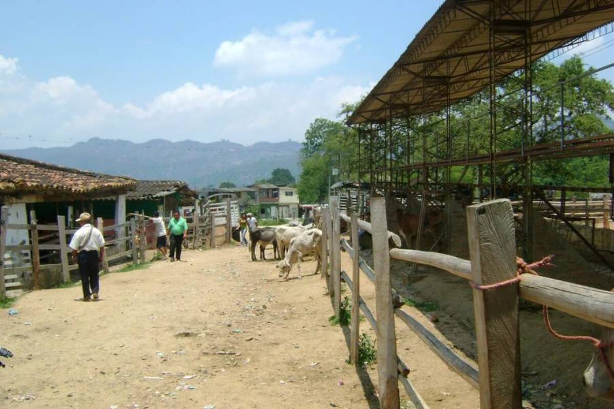 En la reunión de hoy se definirá el presupuesto de que dispone el Municipio para cumplir con lo prometido al sector ganadero en la construcción de la primera fase del Coliseo de Ferias, ubicado en el sector de Villa Paulina- El Santuario. (Foto: Archivo/ VANGUARDIA LIBERAL )