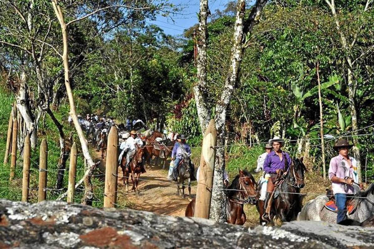 Más de 500 jinetes provenientes de la provincia de Ricaurte bajo y Veleña, se darán cita en una de las cabalgatas más concurridas de la región. (Foto: Suministrada /VANGUARDIA LIBERAL )